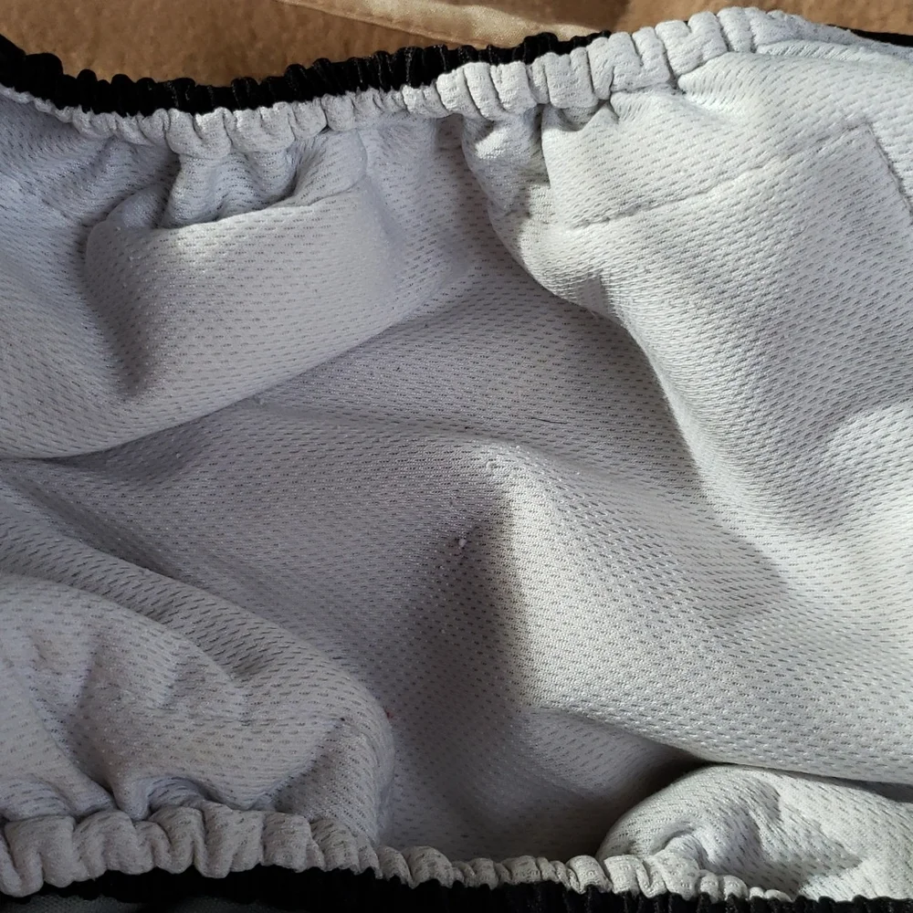 ( 4 diapers total) Incontinence Diapers for Dogs